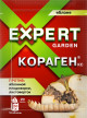 Предыдущая