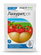 Предыдущая