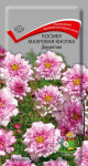 Предыдущая