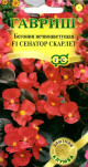 Предыдущая