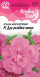 Предыдущая