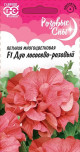 Предыдущая