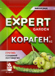 Предыдущая