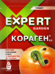 Предыдущая