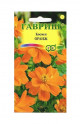 Предыдущая