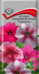 Предыдущая