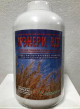 Предыдущая