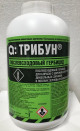 Предыдущая