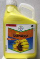 Предыдущая