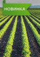 Предыдущая