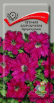 Предыдущая