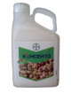 Предыдущая