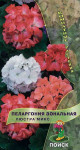 Предыдущая