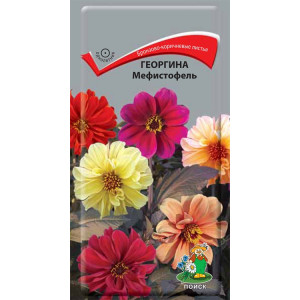 Однолетник Георгина Мефистофель ЦВ Поиск