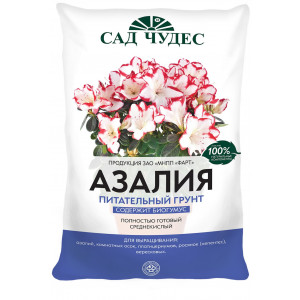 Грунт Азалия Сад Чудес
