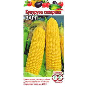 Кукуруза ЗАРЯ Гавриш