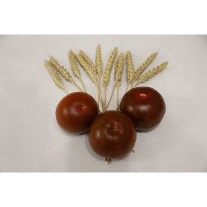 Томат АФРИКА F1 / AFRIKA F1 Quality Seeds