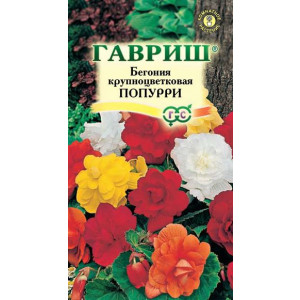 Комнатные Бегония Попурри крупноцвет. Смесь проб. Гавриш