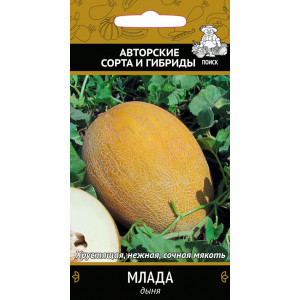 Дыня МЛАДА ЦВ Поиск