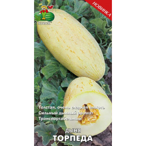 Дыня ТОРПЕДА ЦВ Поиск