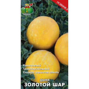 Дыня ЗОЛОТОЙ ШАР ЦВ Поиск