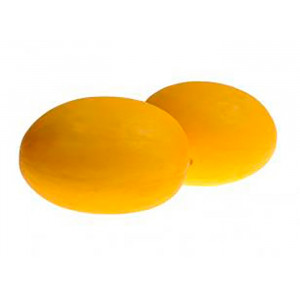 Дыня ХАЛО F1 / KHALO F1 Hollar Seeds