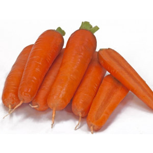 Морковь ТАНГЕРИНА F1 / TANGERINA F1 Takii Seeds