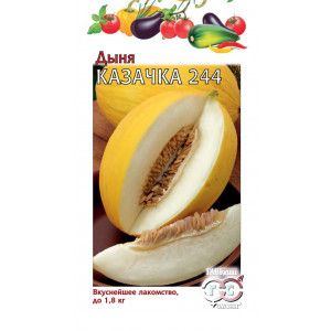 Дыня КАЗАЧКА 244 Гавриш