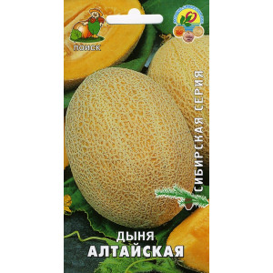 Дыня АЛТАЙСКАЯ ЦВ Поиск