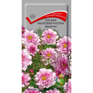 Однолетник Космея Махровая кнопка Двуцветная ЦВ Поиск