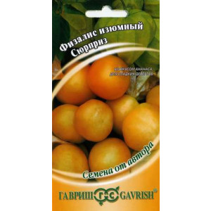 Физалис изюмный СЮРПРИЗ автор Гавриш