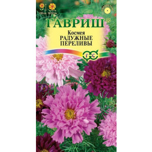 Однолетник Космея махровая Радужные переливы Гавриш