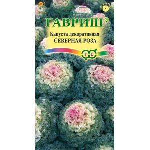 Капуста декоративная СЕВЕРНАЯ РОЗА воронежская розовая Гавриш