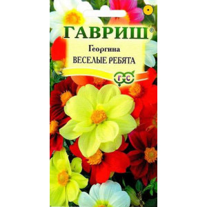 Однолетник Георгина Веселые ребята Гавриш