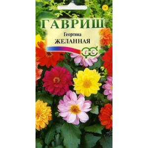 Однолетник Георгина Желанная Гавриш
