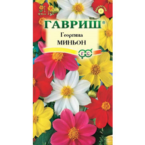 Однолетник Георгина Миньон Гавриш