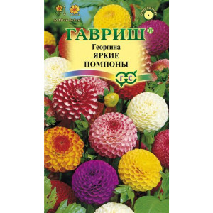 Однолетник Георгина Яркие помпоны Гавриш