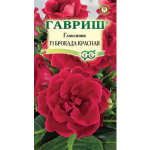 Комнатные Глоксиния Брокада красная F1 гранул. Эксклюзив Гавриш