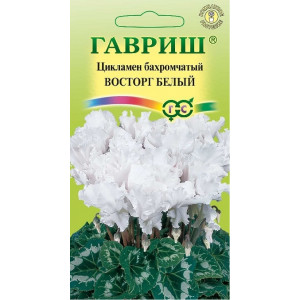 Комнатные Цикламен махровый Восторг белый Гавриш