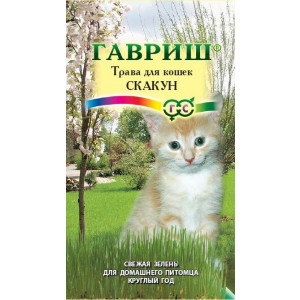 Трава для кошек Скакун Гавриш