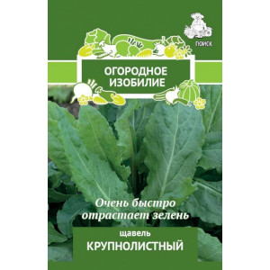 Щавель КРУПНОЛИСТНЫЙ ОИ Поиск