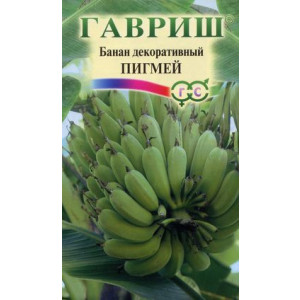 Банан декоративный ПИГМЕЙ Гавриш