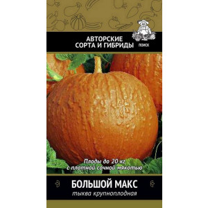 Тыква БОЛЬШОЙ МАКС ЦВ Поиск