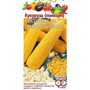 Кукуруза попкорн РОССИЙСКАЯ ЛОПАЮЩАЯСЯ 3 Гавриш
