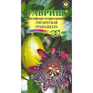 Комнатные Пассифлора четырехгранная гигантская Гранадилла  Гавриш
