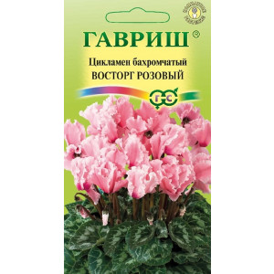 Комнатные Цикламен махровый Восторг розовый ЭК Гавриш