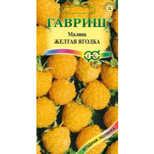 Малина ЖЕЛТАЯ ЯГОДКА Гавриш