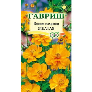 Однолетник Космея Желтая Гавриш