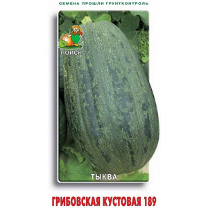 Тыква твердокорая ГРИБОВСКАЯ кустовая ЦВ Поиск