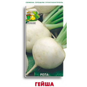 Репа ГЕЙША ЦВ Поиск